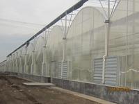 内蒙园拱顶阳光板连栋棚