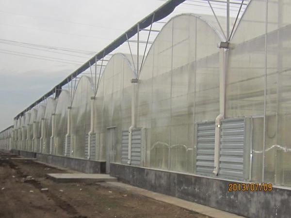 内蒙园拱顶阳光板连栋棚