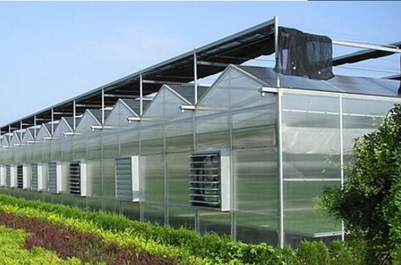 呼市玉泉阳光板种植温室