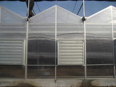 北京大兴阳光板温室