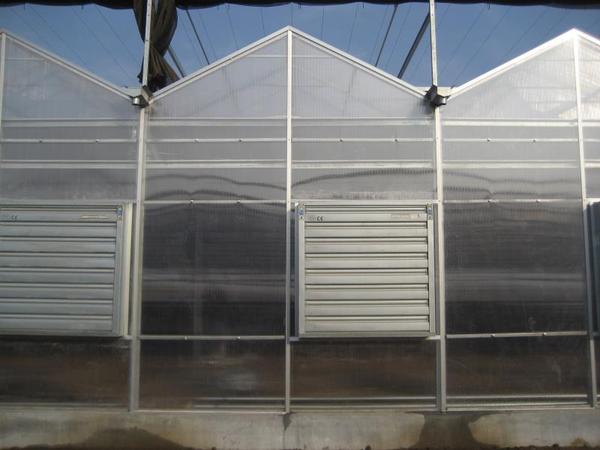 北京大兴阳光板温室