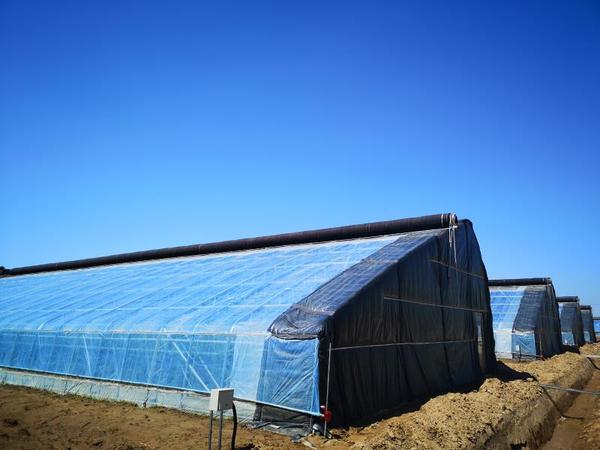 河北复合梁日光大棚