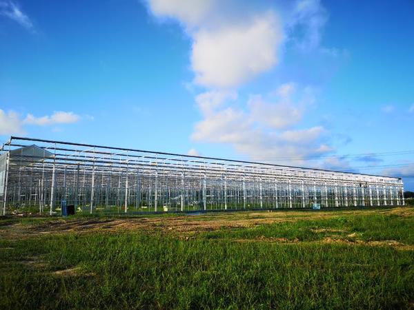 甘肃酒泉市施工现场