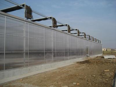 北京大兴阳光板温室