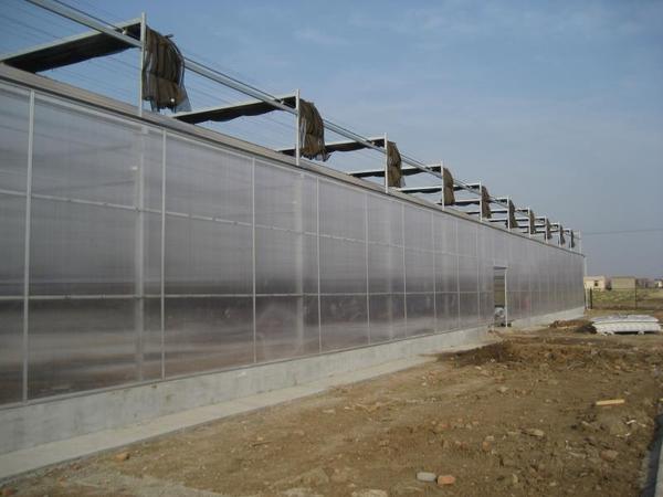 北京大兴阳光板温室