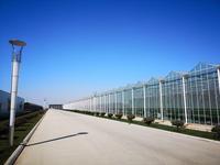 山东兰陵工程案例