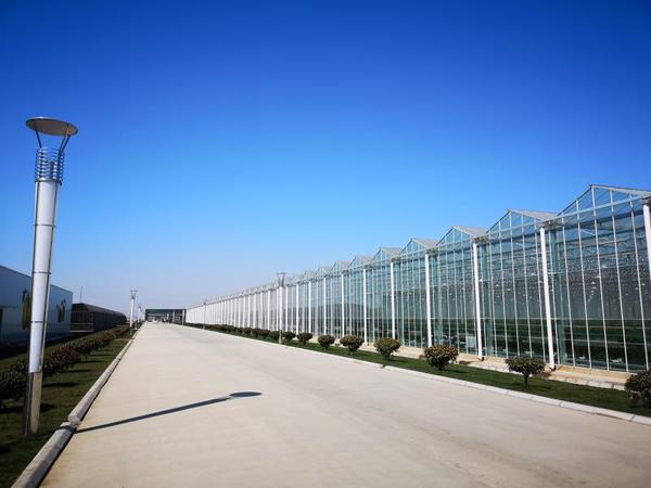 山东兰陵工程案例