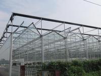 山东莱芜全开启玻璃温室