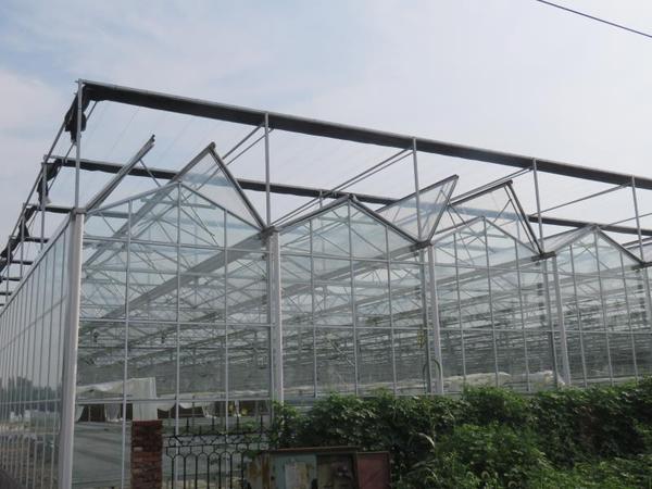 山东莱芜全开启玻璃温室