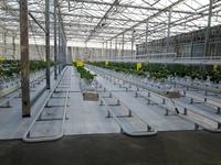 室内栽培系统布置