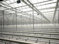 室内栽培系统布置