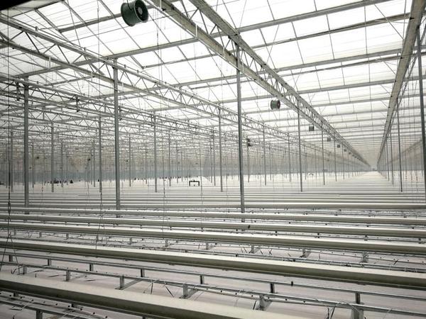 室内栽培系统布置